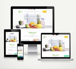 Diyetisyen Web Site Paketi Soft Nutri v5.0